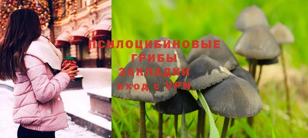 apvp Покров
