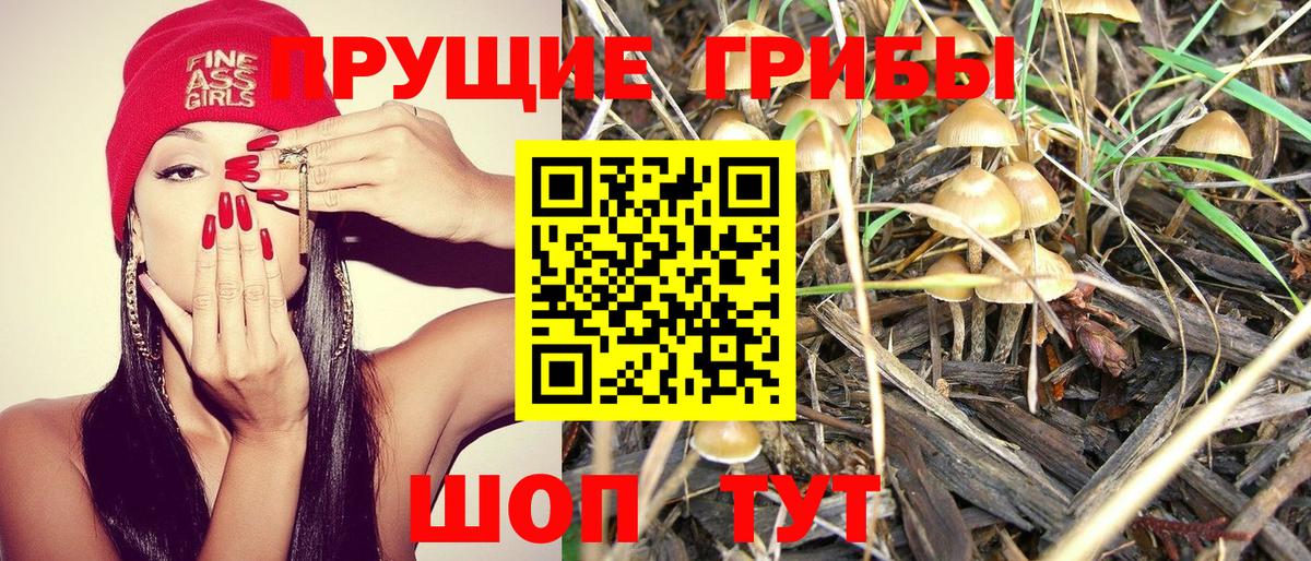 Псилоцибиновые грибы мицелий Кизляр