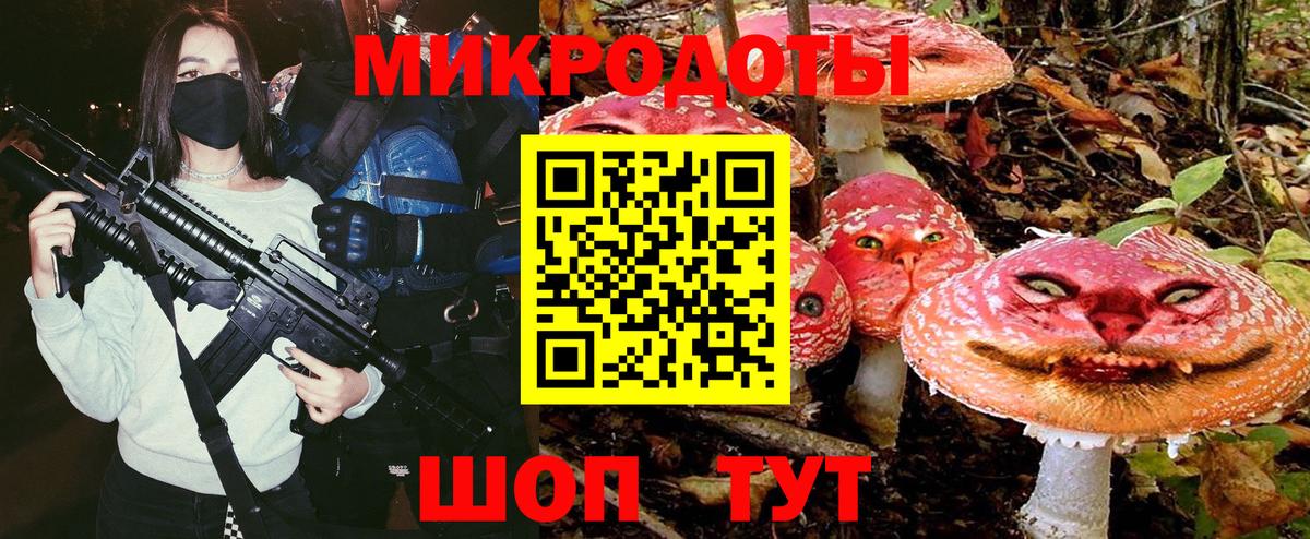 Псилоцибиновые грибы Psilocybe  Кизляр  Псилоцибиновые грибы Psilocybe 