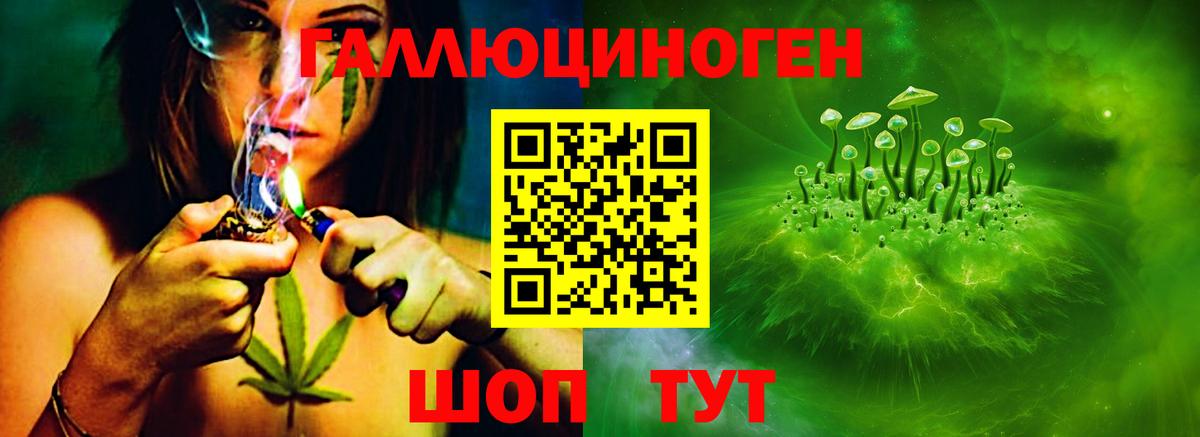 Кизляр  Галлюциногенные грибы прущие грибы  Галлюциногенные грибы GOLDEN TEACHER  Вход с VPN 